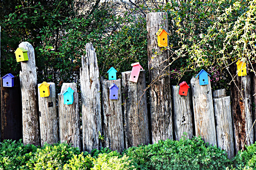 zelf-vogelhuisje-maken-bouwtekening-doe-het-zelver